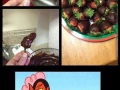 when_pranks_are_planned_by_the_devil