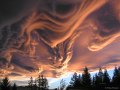 asperatus_priester_1024