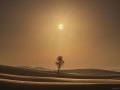 DesertEclipse_Daviron_2000
