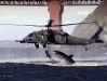 shark_attack