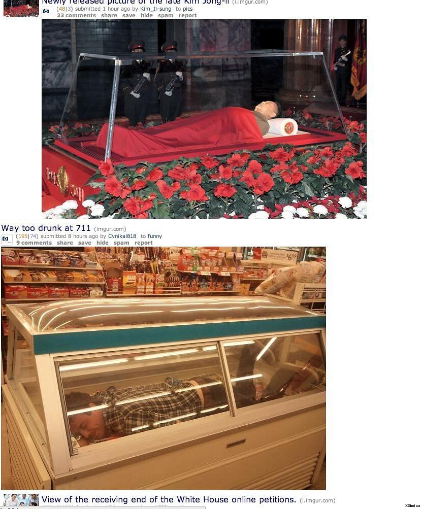 first_was_planking_is_this_a_thing_now_21-12-2011