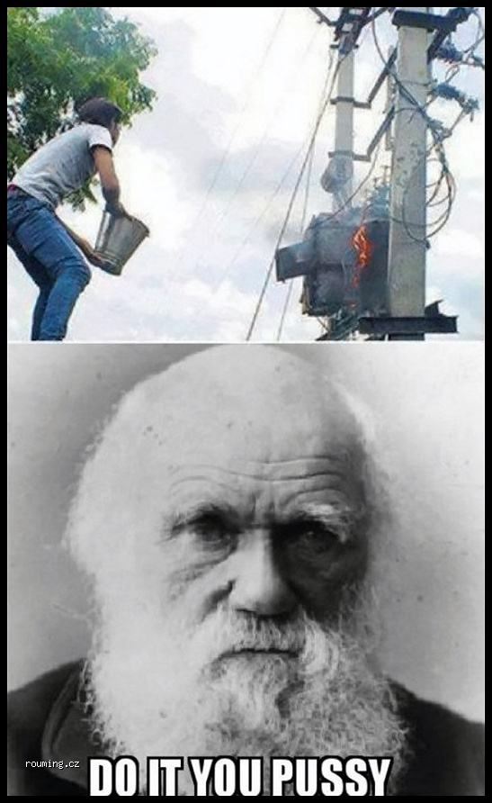about_to_get_darwined_let_s_make_that_a_word_540.jpg