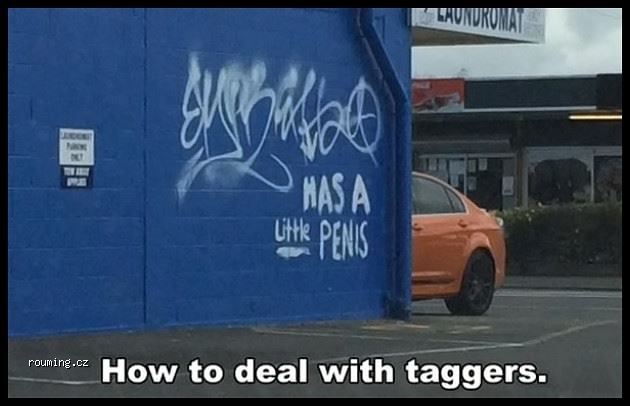 How_To_Deal_With_Taggers (2)