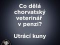 Chorvatsky_veterinar