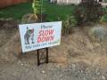 slow_down