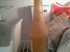 frozen_drink
