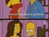 Homer-_my_face_is_up_here