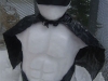 snow_batman