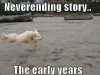 early_years_dog