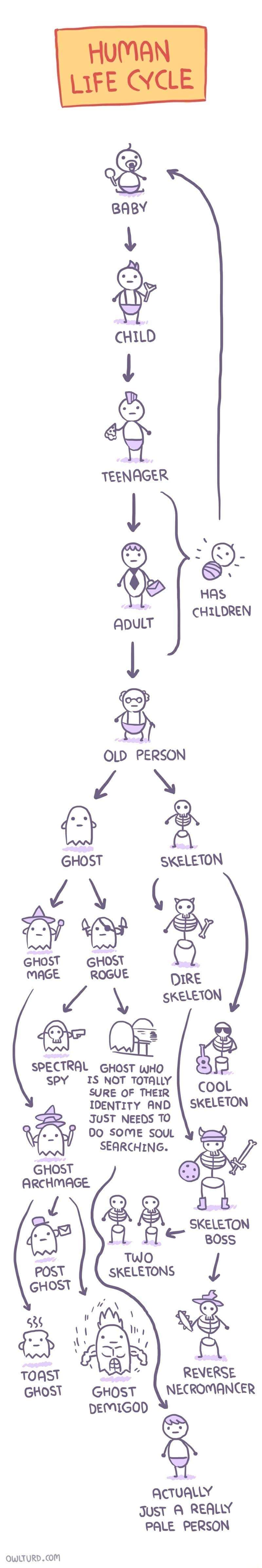 Ghost_evolution
