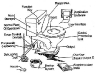 ToiletComputerTerms