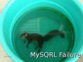 sqrl_failure