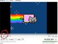i_herd_u_like_nyan_cat