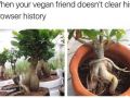 your_vegan_friend