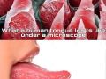 HumanTongue__