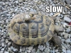 slow_squared