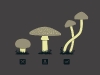 mushrooms