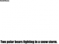 polar_bear_vs_polar_bear