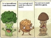 brocolli_nut_shroom