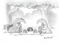 anteater_picnic