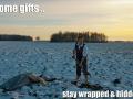 gift_hidden