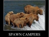 spawn_campers