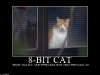 8bit_cat