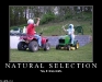 natural_selection