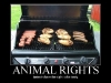 animalrights