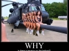 WHY_050711