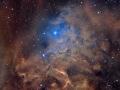 flamingstar_pugh_2666