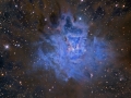 NGC7023hallas900