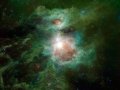 orion_wise_5401