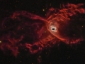 redspider_milovic_1476
