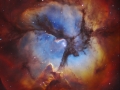 trifid_gendler_2400