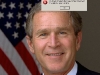 bush_empty