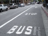 bush_stop