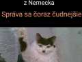 nemecka_katze