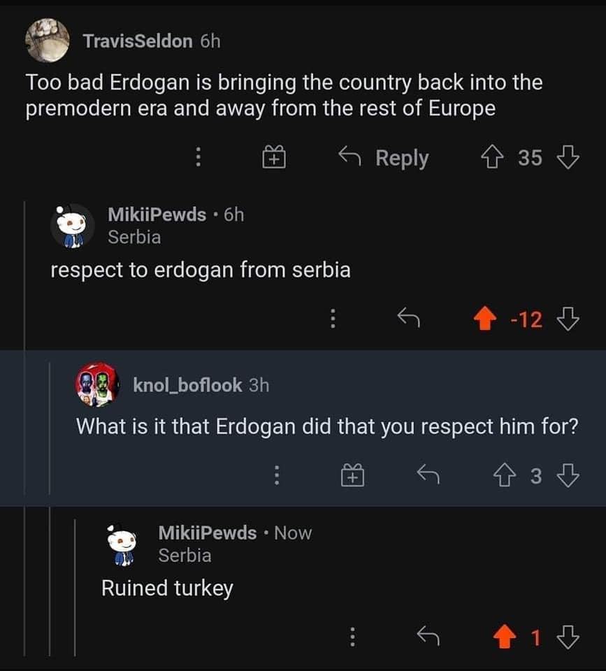 respect_Erdogan_from_Serbia