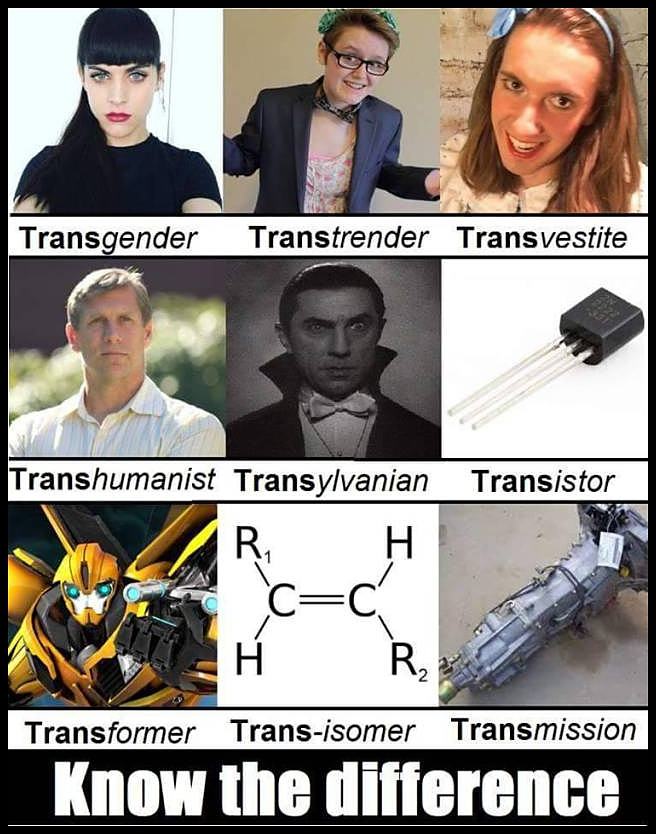 trans._._._