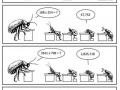 houseflies_can_multiply_fast