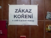 koreni