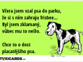 vcera-jsem-vzal-psa-do-parku-ze-si-s-nim-zahraju-frisbee-byl-jsem-zklamany-vubec-mu-to-neslo-chce-to-o-dost-placatejsiho-psa-966