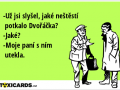 uz-jsi-slysel-jake-nestesti-potkalo-dvoracka-jake-moje-pani-s-nim-utekla-3413