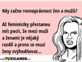 kdy-zacne-rovnopravnost-zen-a-muzu-az-feministky-prestanou-mit-pocit-ze-mezi-muzi-a-zenami-je-nejaky-rozdil-a-proto-se-musi-zeny-zvyhodnovat-1351