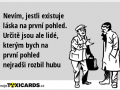 nevim-jestli-existuje-laska-na-prvni-pohled-urcite-jsou-ale-lide-kterym-bych-na-prvni-pohled-nejradsi-rozbil-hubu-2533