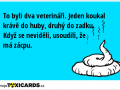 to-byli-dva-veterinari-jeden-koukal-krave-do-huby-druhy-do-zadku-kdyz-se-nevideli-usoudili-ze-ma-zacpu-3457