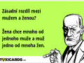 zasadni-rozdil-mezi-muzem-a-zenou-zena-chce-mnoho-od-jednoho-muze-a-muz-jedno-od-mnoha-zen-1252