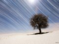 StarTrailsTree_Parchini_4000
