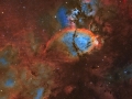 FishheadNebula_Pham_2401